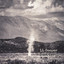 Dust Devil Albumcover