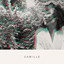 Camille cover