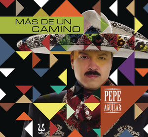 Más De Un Camino album