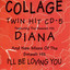 Diana / I'll Be Loving You cover