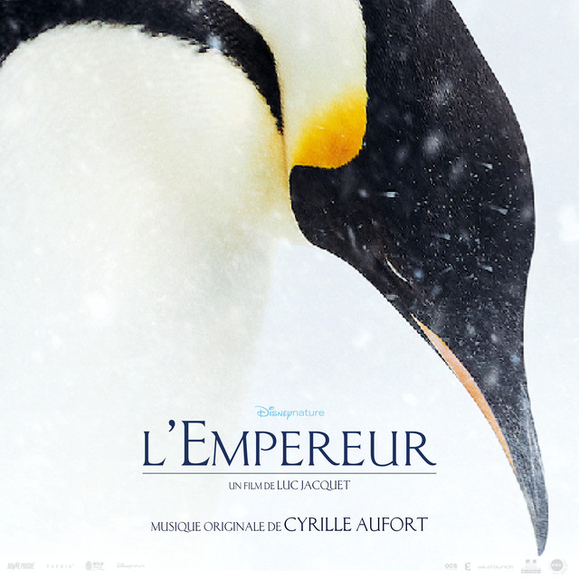 Cyrille Aufort Photo
