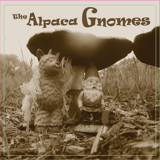 The Alpaca Gnomes Photo