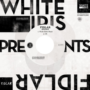 FIDLAR cover