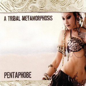A Tribal Metamorphosis cover