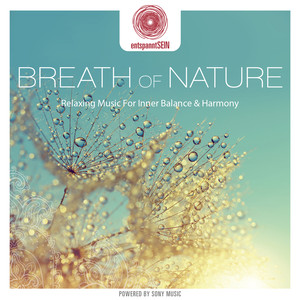 entspanntSEIN - Breath of Nature (Relaxing Music for Inner Balance & Harmony) cover