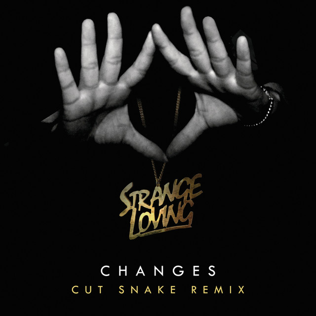 Changes (Cut Snake Remix)