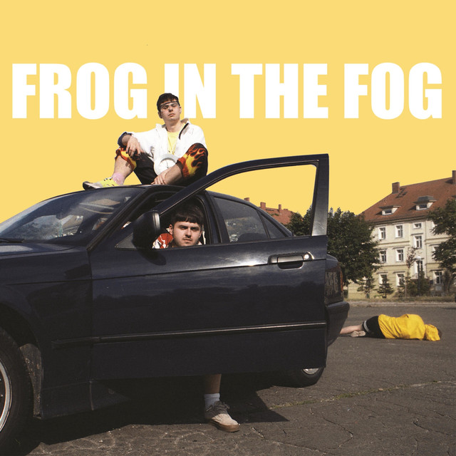 Frog In The Fog cover