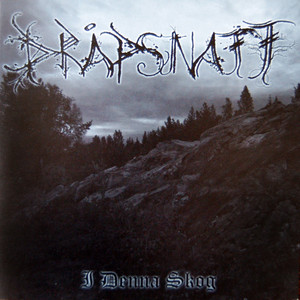 I denna skog cover