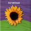 Pat Ortman Albumcover