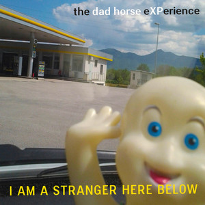 I am a Stranger Here Below cover