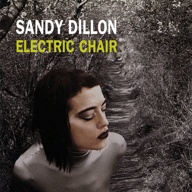 Electric Chair cover