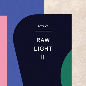 Raw Light II cover