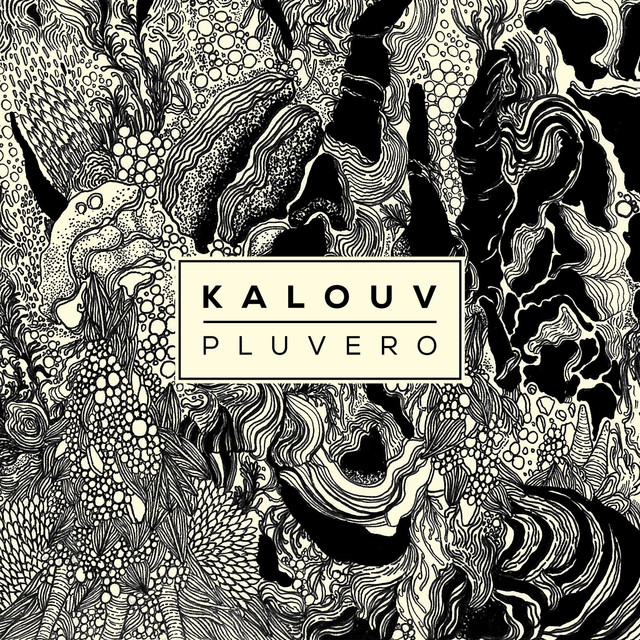 Pluvero cover