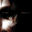 Artificial Perfect cover