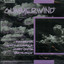 Summerwind cover