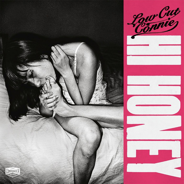 Hi Honey cover