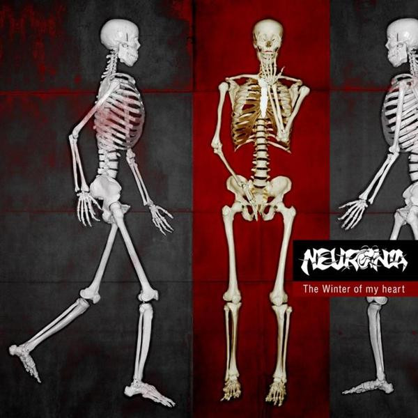 Neuronia Photo