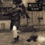 Tan cover