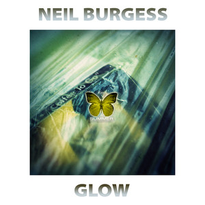 Neil Burgess