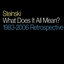 What Does It All Mean? - 1983-2006 Retrospective Albumcover