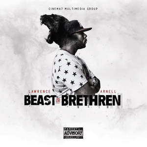 Beast or Brethren cover