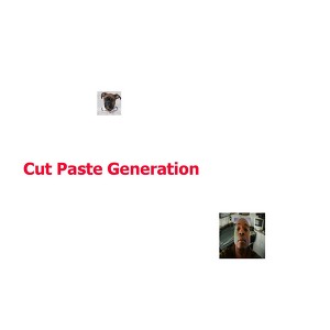 Cut Paste Generation