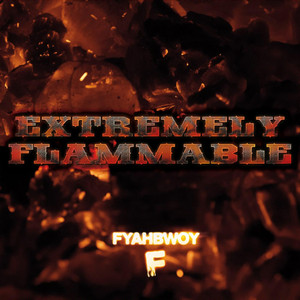Extremely Flammable album