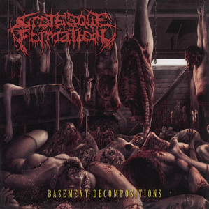 Basement Decompositions cover