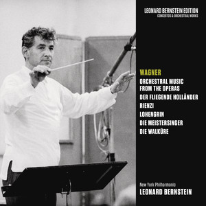 Der fliegende Holländer cover