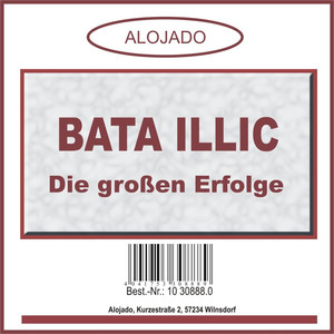 Die großen Erfolge album