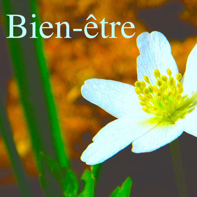 Bien-être: Musique pour La Gestion de l'Anxiété et Zen Méditation, Kundalini Yoga pour Apprende a Méditer Albumcover