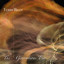 LIVE cover