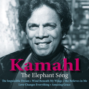 The Elephant Song cover
