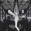 Haunted Hall Albumcover