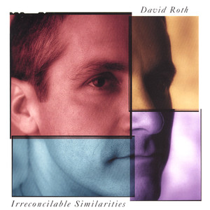 Irreconcilable Similarities cover
