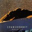 Svanshornet Albumcover