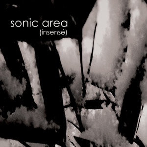 (insensé) cover