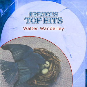Precious Top Hits: Walter Wanderley album