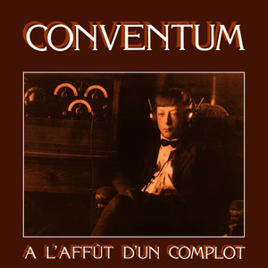 À l'affût d'un complot cover