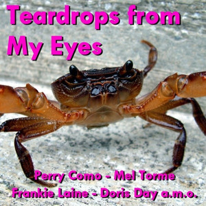 Teardrops From My Eyes album