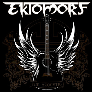 The Acoustic cover