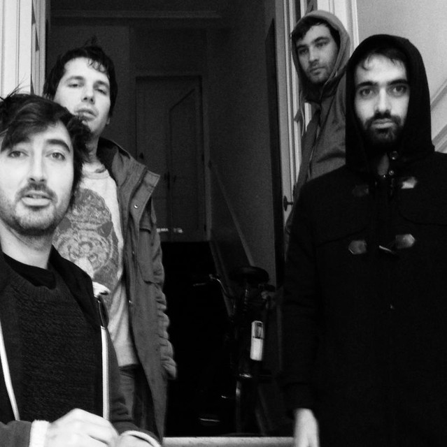 Bantam Lyons photo