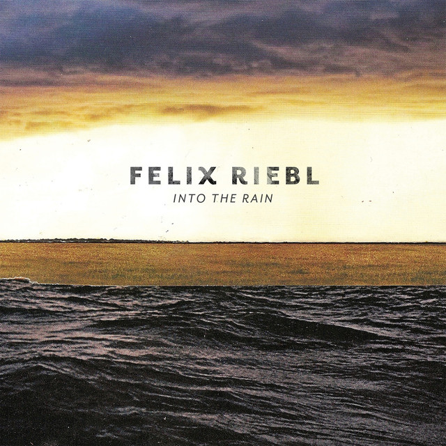 Into The Rain cover