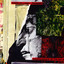 Disappearance of the Maya cover