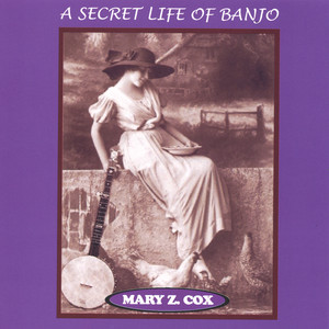 A Secret Life of Banjo cover