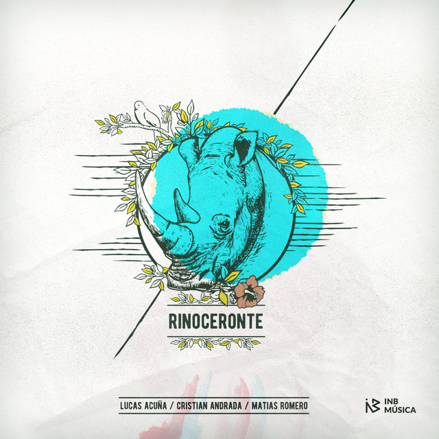 Rinoceronte Photo
