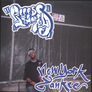 New York Yankee cover