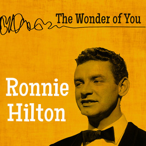 The Wonder of You cover