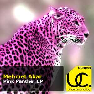Mehmet Akar