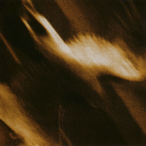 Ashes Against the Grain album